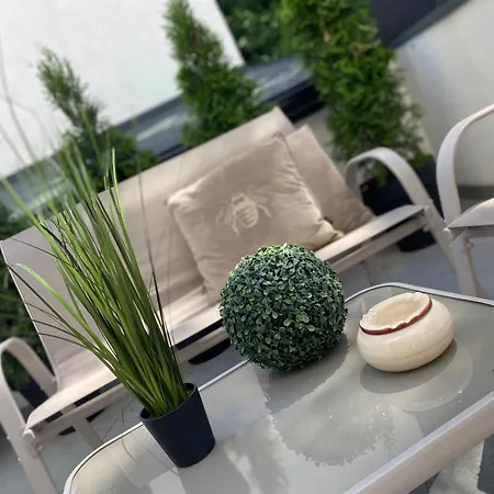 Latte Z Tarasem Blisko Stare *