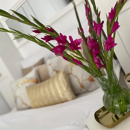 Latte Z Tarasem Blisko Stare アパート